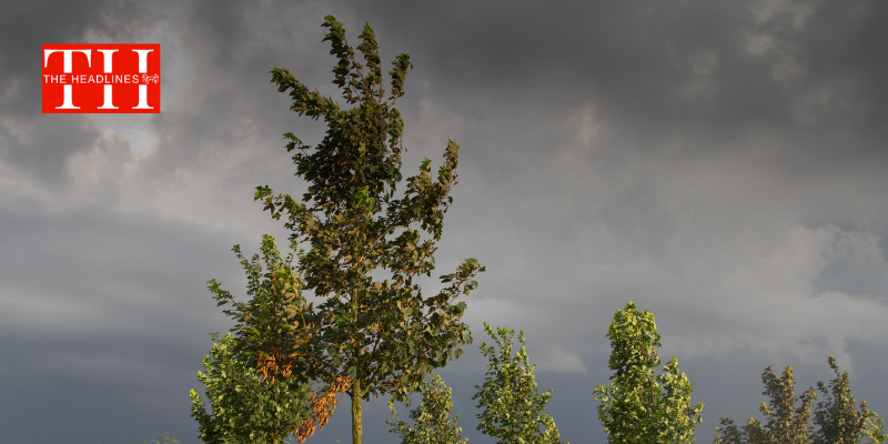 उत्तर भारत में बढ़ी सर्दी : हिमालय की बर्फीली हवा से मैदान ठिठुरे, ऊटी में जमी ओस, दिल्ली का AQI 400 पार