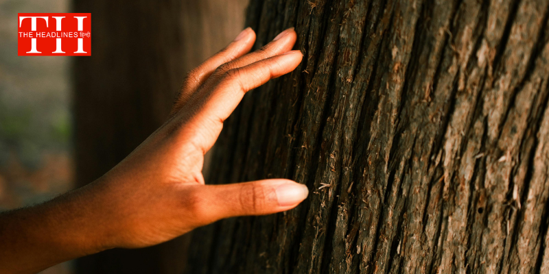 टच वुड क्यों कहते हैं लोग? बुरी नजर से बचाने वाले इस पुराने विश्वास के पीछे क्या है असली वजह