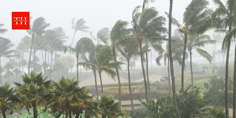 फिर बिगड़ने वाला है मौसम! आ रहा है चक्रवाती तूफान Montha - IMD ने दी भारी बारिश की चेतावनी