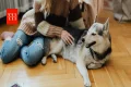 AI Pet Translator Device: क्या अब इंसानों की भाषा में बात करेंगे डॉग और कैट? जानिए सच