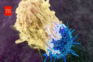 पेट में छिपा खतरनाक बैक्टीरिया! Helicobacter pylori से बढ़ सकता है कैंसर का खतरा, जानें लक्षण और बचाव