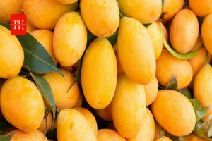 भारत में किसे कहते हैं 'मैंगो सिटी'? वो शहर जहां के आम हैं खास, जानिए