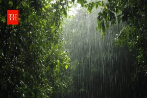 मौसम का यू-टर्न: कई राज्यों में बारिश-ओलावृष्टि का अलर्ट, IMD ने जारी की चेतावनी