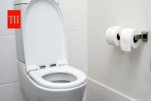 टॉयलेट में बर्फ डालते ही क्या होता है? जानिए वायरल हैक का सच