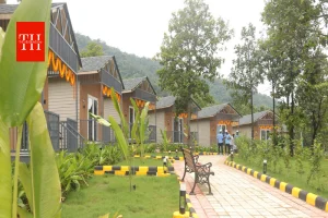 दलमा वाइल्डलाइफ सैंक्चुरी में शुरू हुए 15 नए इको कॉटेज, जंगल के बीच मिलेगा लग्जरी स्टे और नेचर टूरिज्म का नया अनुभव