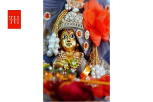 सावन में लड्डू गोपाल की सेवा कैसे करें? जानें स्नान, भोग, वस्त्र, पूजा विधि और जरूरी नियम