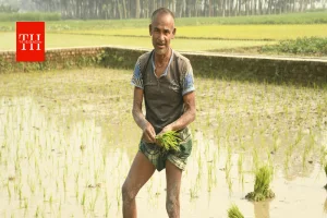 PM-Kisan योजना अगले 5 साल तक जारी, किसानों को मिलते रहेंगे सालाना ₹6,000; कैबिनेट ने 3.15 लाख करोड़ रुपये को दी मंजूरी