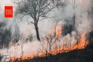 Europe Heatwave का भारत पर पड़ेगा असर? जानें मानसून, तापमान और जलवायु परिवर्तन से जुड़ी पूरी जानकारी