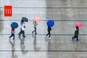 मानसून को लेकर बड़ा अपडेट, दिल्ली-UP-बिहार में जल्द बारिश के आसार, IMD ने बताया कब पहुंचेगा मॉनसून