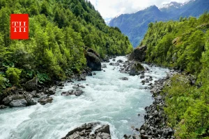 सतलुज नदी पर क्यों होता रहा विवाद? जानिए बंटवारे से लेकर सिंधु जल संधि तक की पूरी कहानी