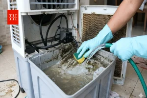 गर्मी में कूलर के पानी को साफ करने से परेशान? जानिए ये घरेलु तरीका, मिनटों में होगी सफाई