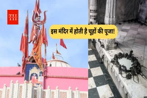 इस मंदिर में होती है चूहों की पूजा! पहला प्रसाद भी चूहों को ही खिलाया जाता है - जानिए कहां पर है ये स्थल