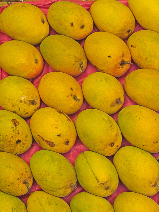 कहीं आप तो नहीं खा रहे केमिकल वाला आम? घर पर इन 6 तरीकों से चेक करें शुद्धता